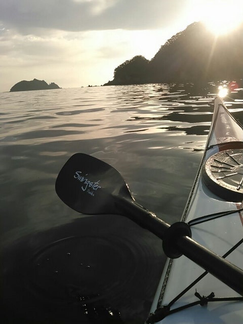 SwingSter Paddle – 愛知県のカヤックショップ RAINBOW 三河湾